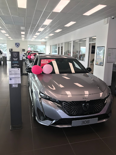 Photo 1 - PEUGEOT - G. NEDELEC CHATEAULIN