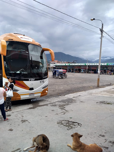 Terminal Terrestre La Molina - Nueva Cajamarca