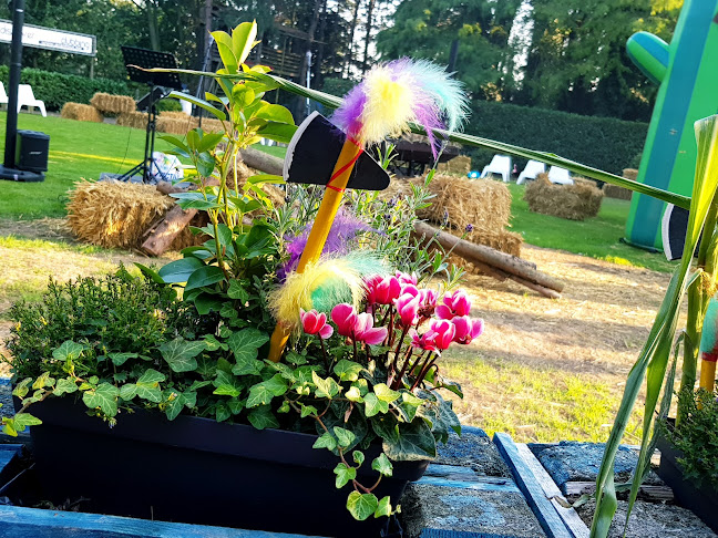 8531, Brugsesteenweg 24, 8531 Harelbeke