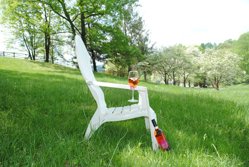 Vineyard «Naked Mountain Winery & Vineyards», reviews and photos, 2747 Leeds Manor Rd, Markham, VA 22643, USA