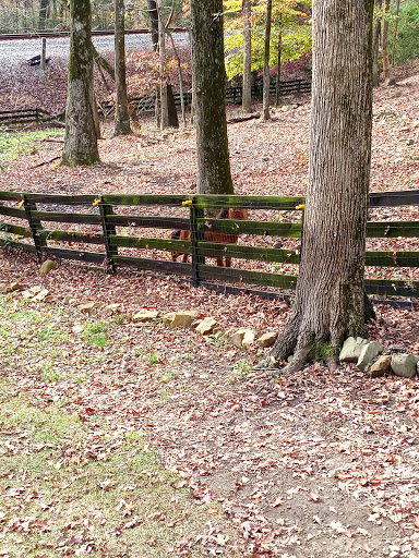 Winery «Cat-n-Bird Winery», reviews and photos, 11661 Old Hwy 280, Chelsea, AL 35043, USA