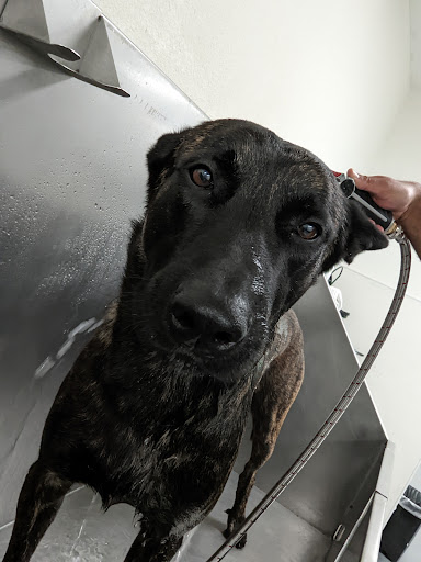 Pet Supply Store «Centinela Feed & Pet Supplies», reviews and photos, 11055 W Pico Blvd, Los Angeles, CA 90064, USA