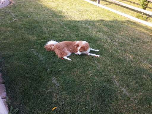 Golf Club «The Golf Club at Yankee Trace», reviews and photos, 10000 Yankee St, Centerville, OH 45458, USA