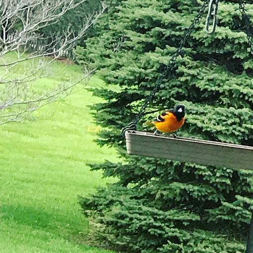 Real Estate Agency «Coldwell Banker Haynes Real Estate Monroe», reviews and photos, 15489 S Telegraph Rd STE A, Monroe, MI 48161, USA