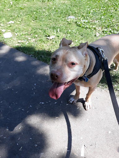 Pet Supply Store «PetSmart», reviews and photos, 5050 SE 14th St, Des Moines, IA 50320, USA