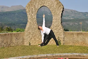 Back to Wellness - Iyengar Yoga image
