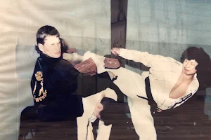 Hong's USA Taekwondo, Habgido, Gumdo, Inc. image