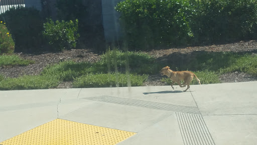 Self-Storage Facility «Gilroy Self Storage», reviews and photos, 6500 Cameron Blvd, Gilroy, CA 95020, USA