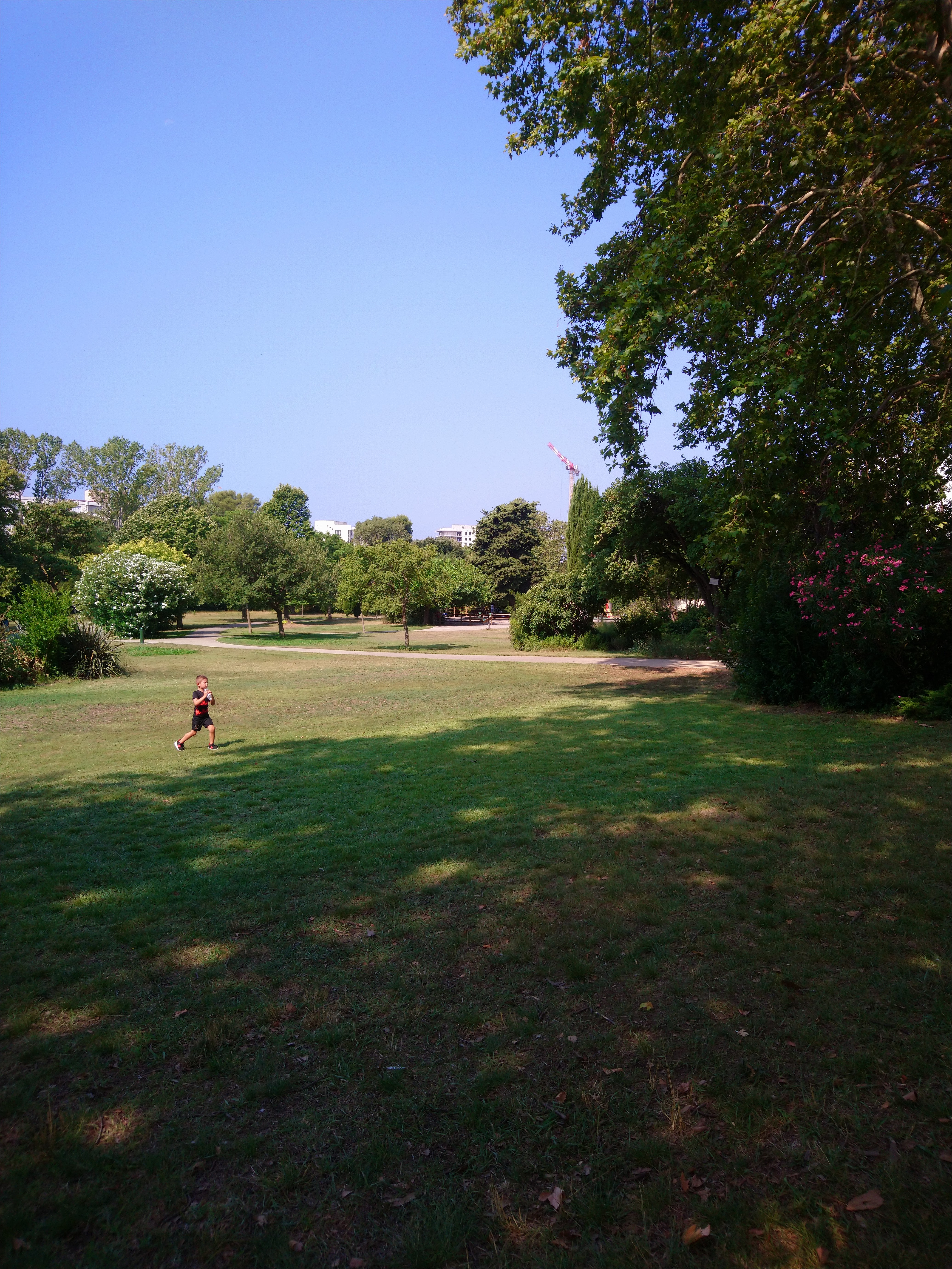 Photo n° 2 de l'avis de Cédric.O fait le 24/07/2019 à 09:31