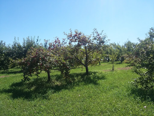 Produce Market «Welsh Heritage Farms», reviews and photos, 20758 528th Ave, Lake Crystal, MN 56055, USA