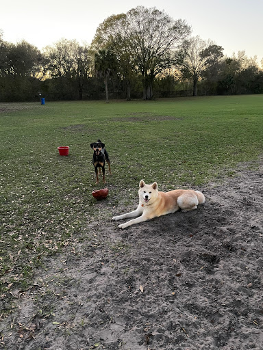Dog Park «West Park», reviews and photos, 5812 N Occident St, Tampa, FL 33614, USA
