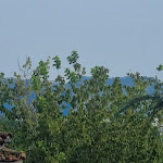 Photo n°2 de l'avis de Stefania.e fait le 17/08/2023 à 08:20 sur le  Boutique Hotel White City à Spoltore