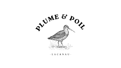 Magasin de vêtements Plume & Poil Clothing Lacanau