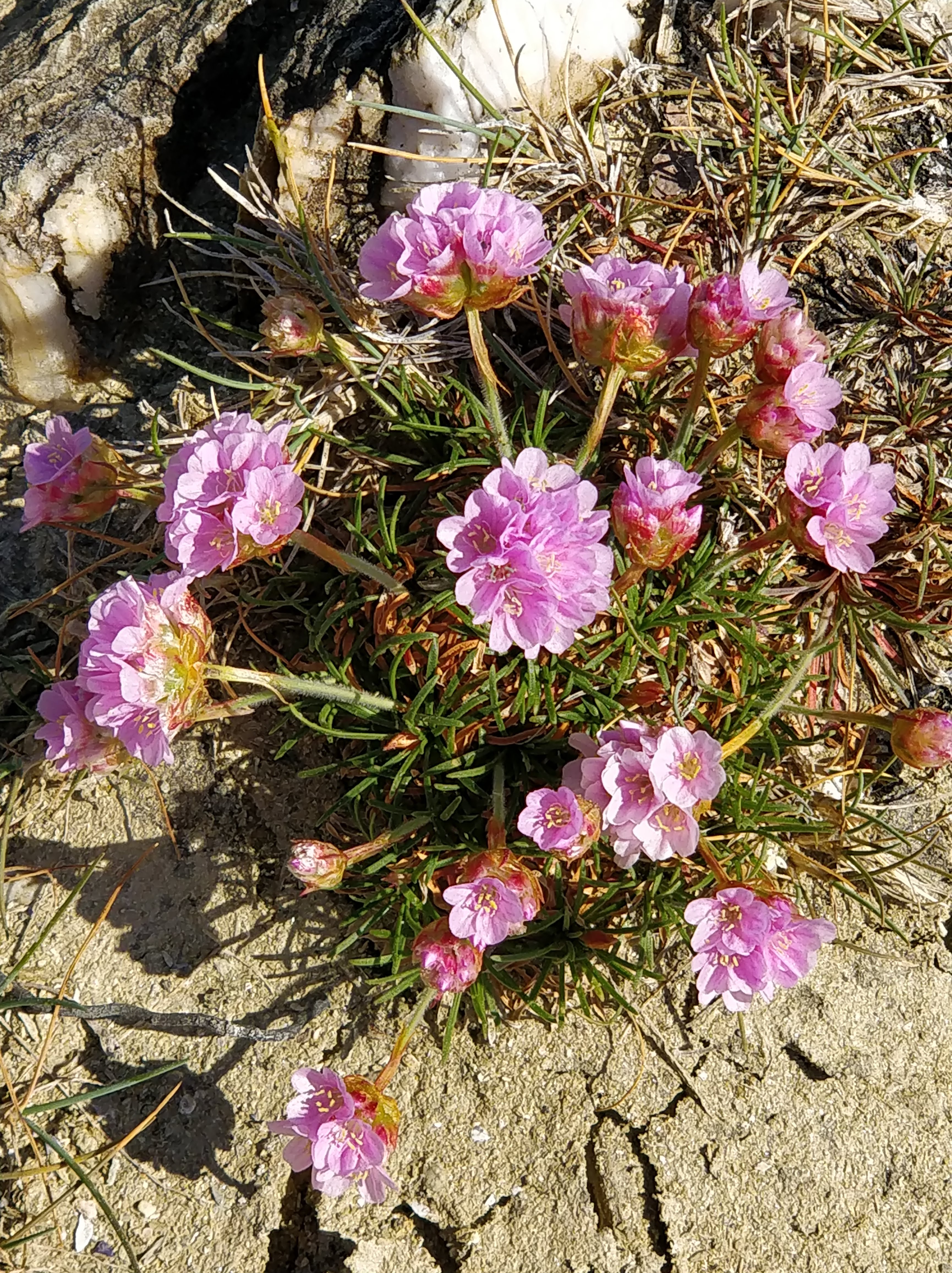 Photo n° 1 de l'avis de Ernest.o fait le 25/04/2018 à 06:50