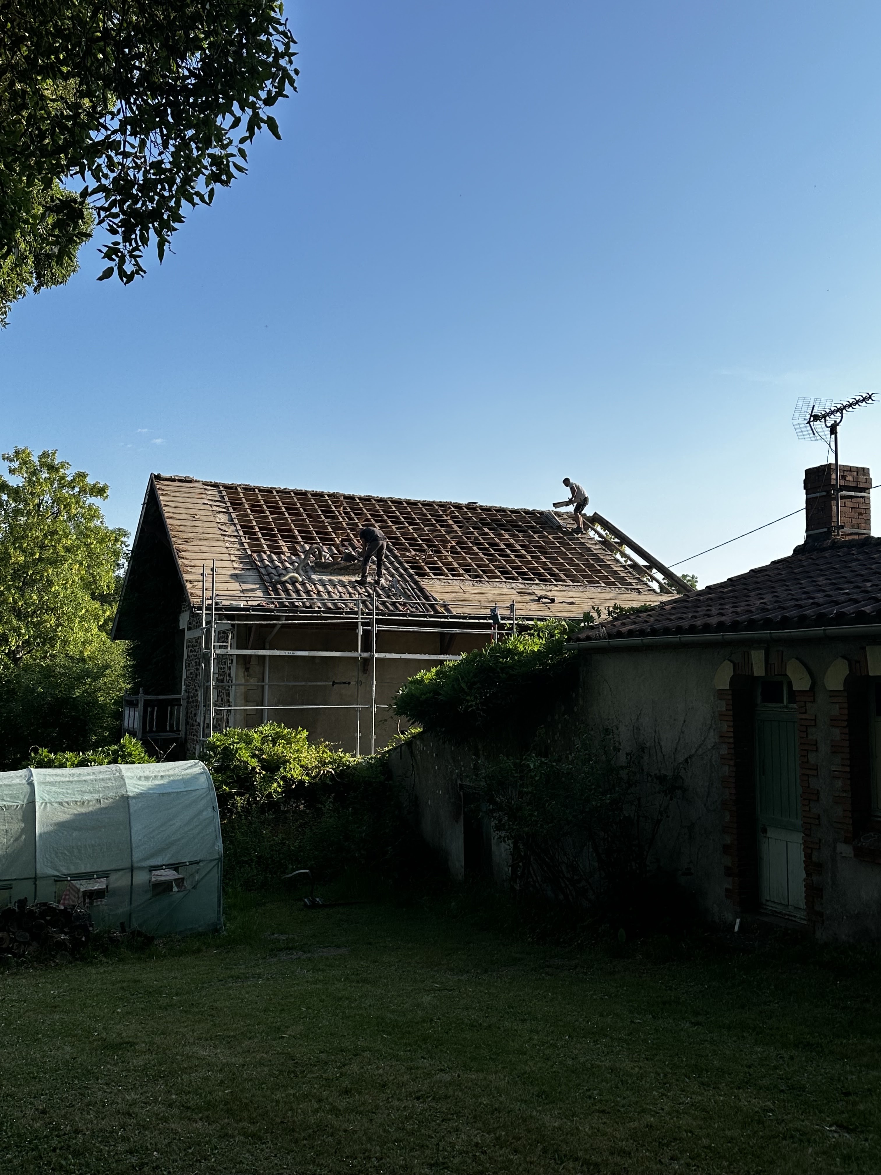 Photo n° 1 de l'avis de Aurélie. fait le 24/07/2023 à 16:11