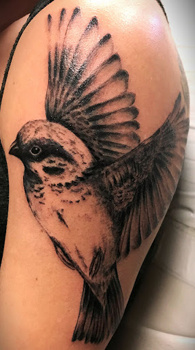 Tattoo Shop «Cactus Tattoo», reviews and photos, 307 N Riverfront Dr, Mankato, MN 56001, USA