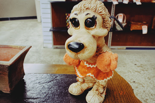 Thrift Store «Restoration Ministries», reviews and photos, 351 W 162nd St, South Holland, IL 60473, USA