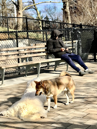 Park «Doughboy Park», reviews and photos, Woodside Ave, Woodside, NY 11377, USA