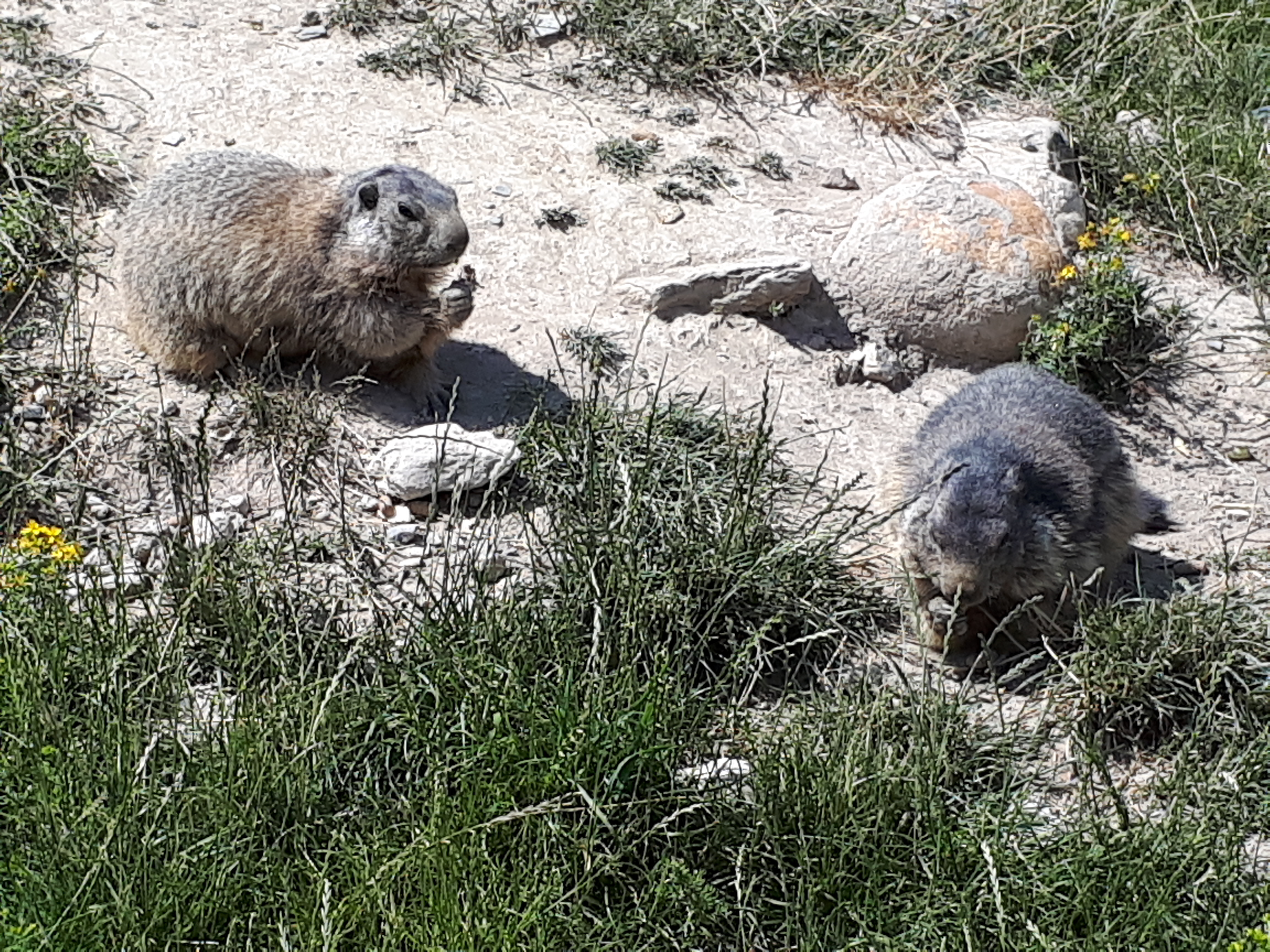 Photo n° 2 de l'avis de Sire.E fait le 06/07/2019 à 17:27