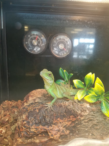 Pet Supply Store «PetSmart», reviews and photos, 6251 N Davis Hwy, Pensacola, FL 32504, USA