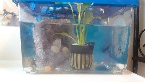 Pet Supply Store «Petco Animal Supplies», reviews and photos, 3637 2700 W, West Valley City, UT 84119, USA