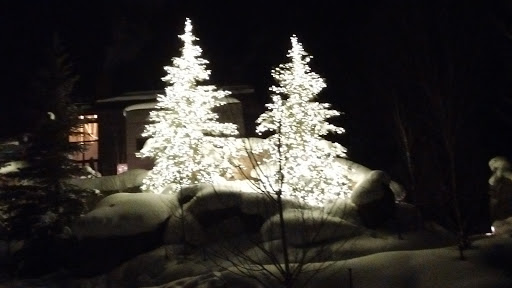 Bar «Shakedown Bar», reviews and photos, 304 Bridge St, Vail, CO 81657, USA