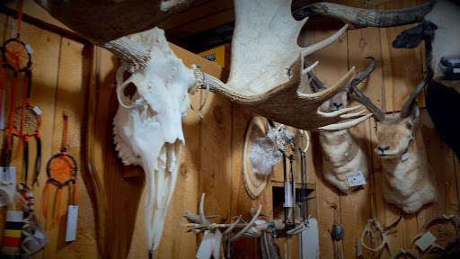 Whitetail Deer Hide — Claw, Antler & Hide Co.