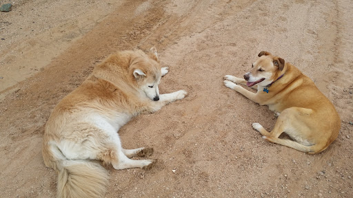 Nature Preserve «Cave Buttes Recreation Area», reviews and photos, N 7th St & E Happy Valley Rd, Phoenix, AZ 85024, USA