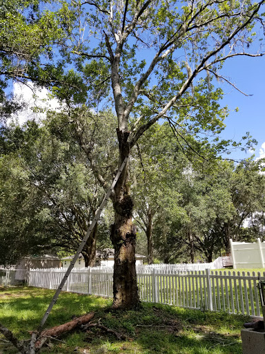 Public Golf Course «Quail Hollow Golf Course», reviews and photos, 6225 Old Pasco Rd, Wesley Chapel, FL 33544, USA