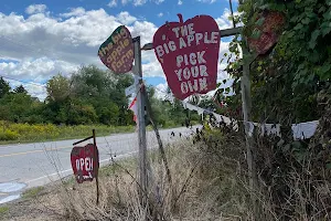 The Big'r Apple Farm image