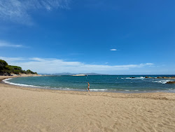 Photo de Les Muscleres Beach avec un rivage spacieux