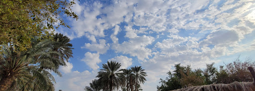 مزرعة صوفي ورمضان الزهراني في الرياض 13