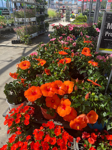 Home Improvement Store «The Home Depot», reviews and photos, 3730 Sun City Center Blvd, Ruskin, FL 33573, USA