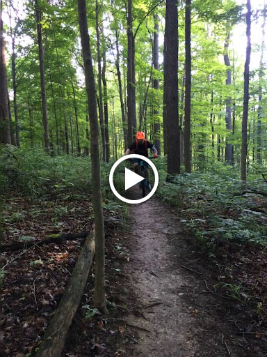 Bicycle Store «Beat Cycles», reviews and photos, 15608 Detroit Ave, Lakewood, OH 44107, USA