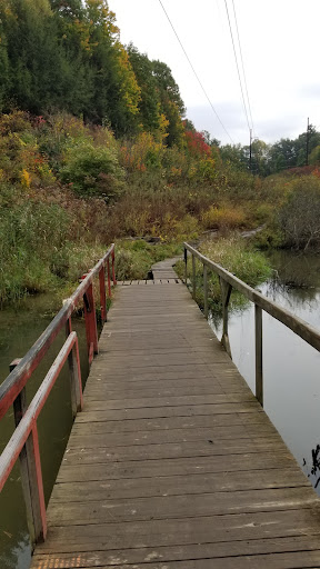 Nature Preserve «Centennial Woods Natural Area», reviews and photos, I-89, Burlington, VT 05401, USA