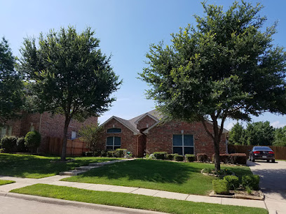Residential Tree Trimming & Tree Removal Services Dallas- Texas Tree Pro