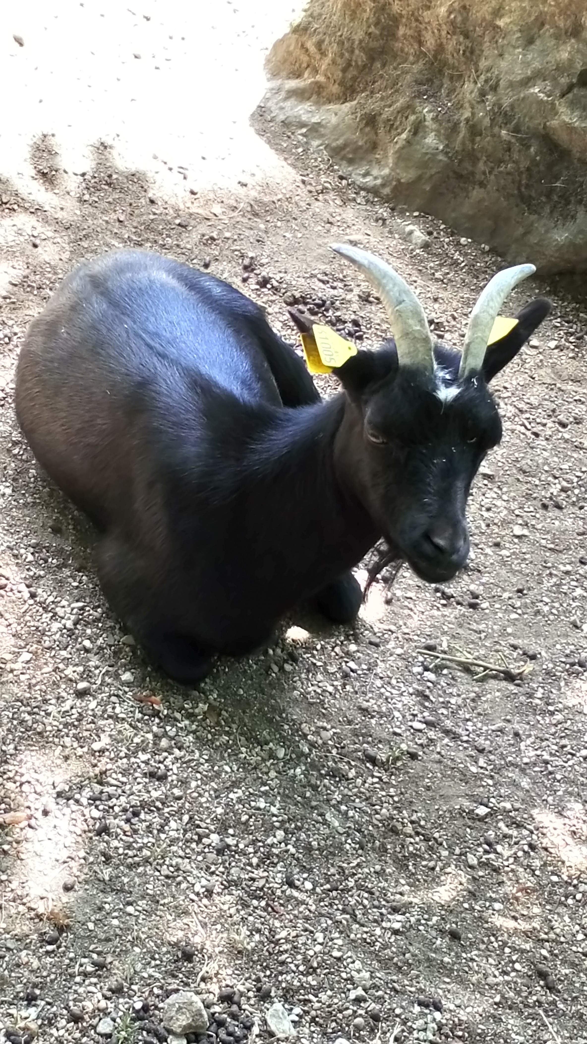 Photo n° 11 de l'avis de nerek. fait le 21/08/2018 à 21:13