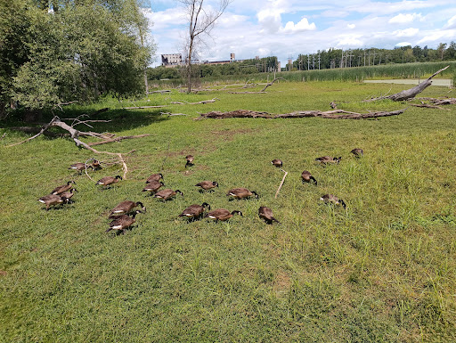 Nature Preserve «Tifft Nature Preserve», reviews and photos, 1200 Fuhrmann Boulevard, Buffalo, NY 14203, USA