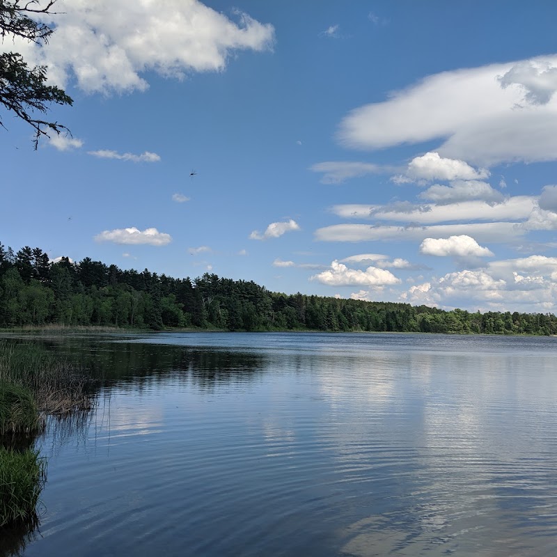 Mississippi Headwaters State Forest