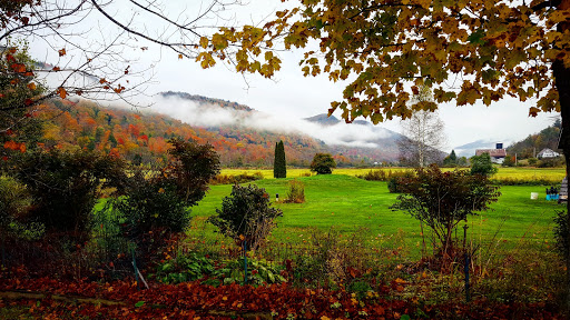 National Forest «Green Mountain and Finger Lakes National Forests», reviews and photos, 231 N Main St, Rutland, VT 05701, USA