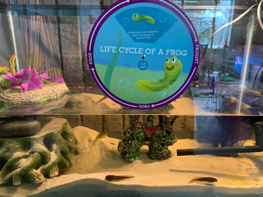 Day Care Center «Freedom Rains», reviews and photos, 553 Roosevelt Hwy # 103, Colchester, VT 05446, USA