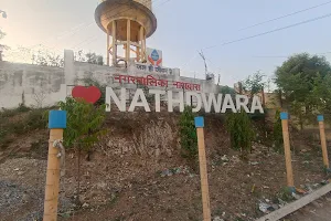 Love Nathdwara image