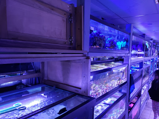 Pet Store «Moby Dick Pet Store Inc», reviews and photos, 3700 Sashabaw Rd, Waterford Twp, MI 48329, USA