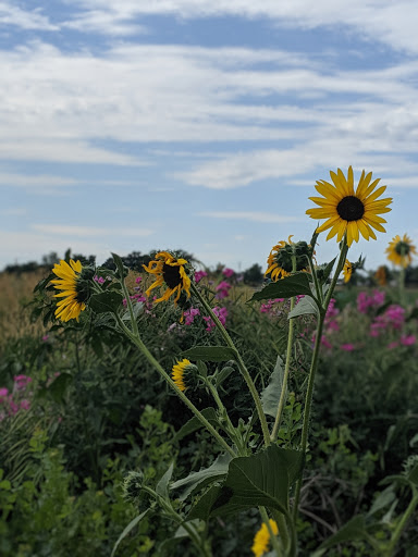 Produce Market «Berry Patch Farms», reviews and photos, 13785 Potomac St, Brighton, CO 80601, USA