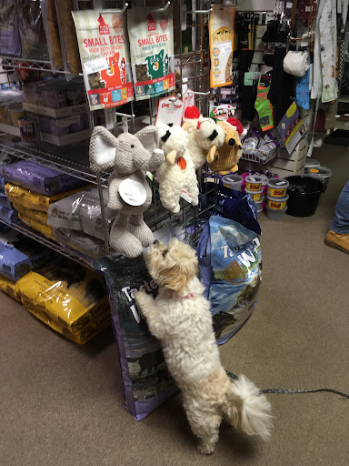 Horse n Hound Saddlery