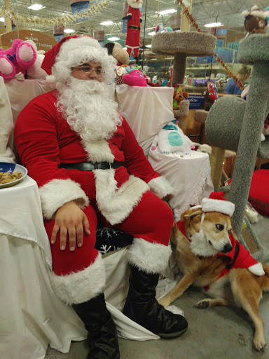 Pet Supply Store «PetSmart», reviews and photos, 1900 W International Speedway Blvd, Daytona Beach, FL 32114, USA