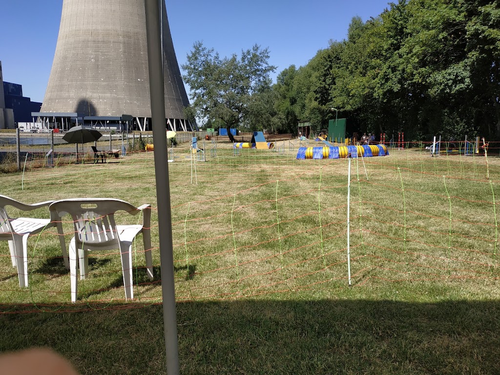 Hundesportverein Die Peiner Eulen im DVG e.V. (Trainingsplatz)