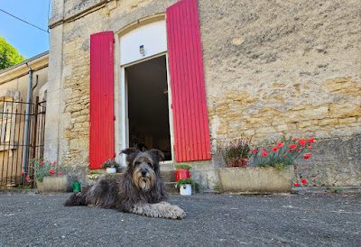 Thunder Roadhouse Garage. Chambres d'Hôtes/Bed & Breakfast à La Mothe-Saint-Héray