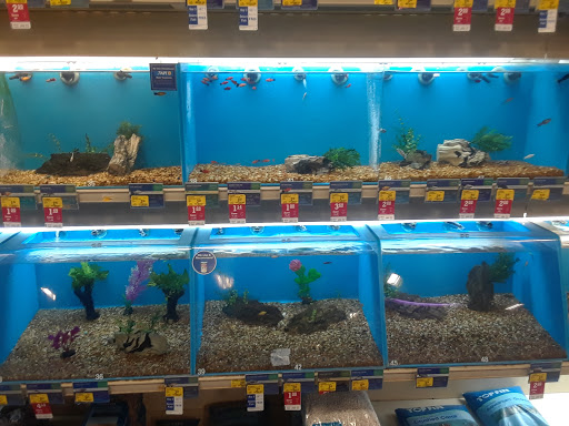 PetSmart