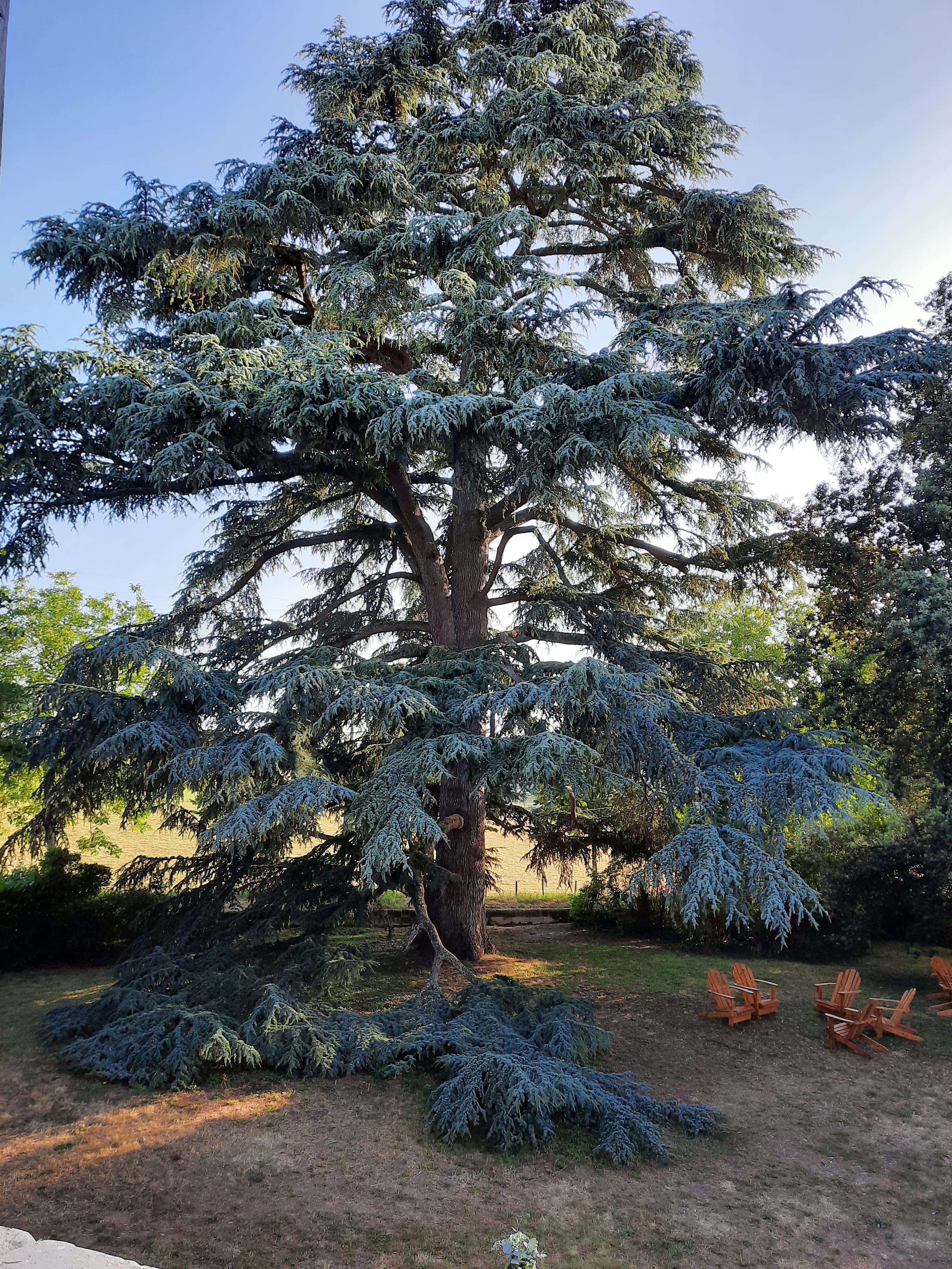 Photo n° 1 de l'avis de Wies.e fait le 20/07/2020 à 15:29